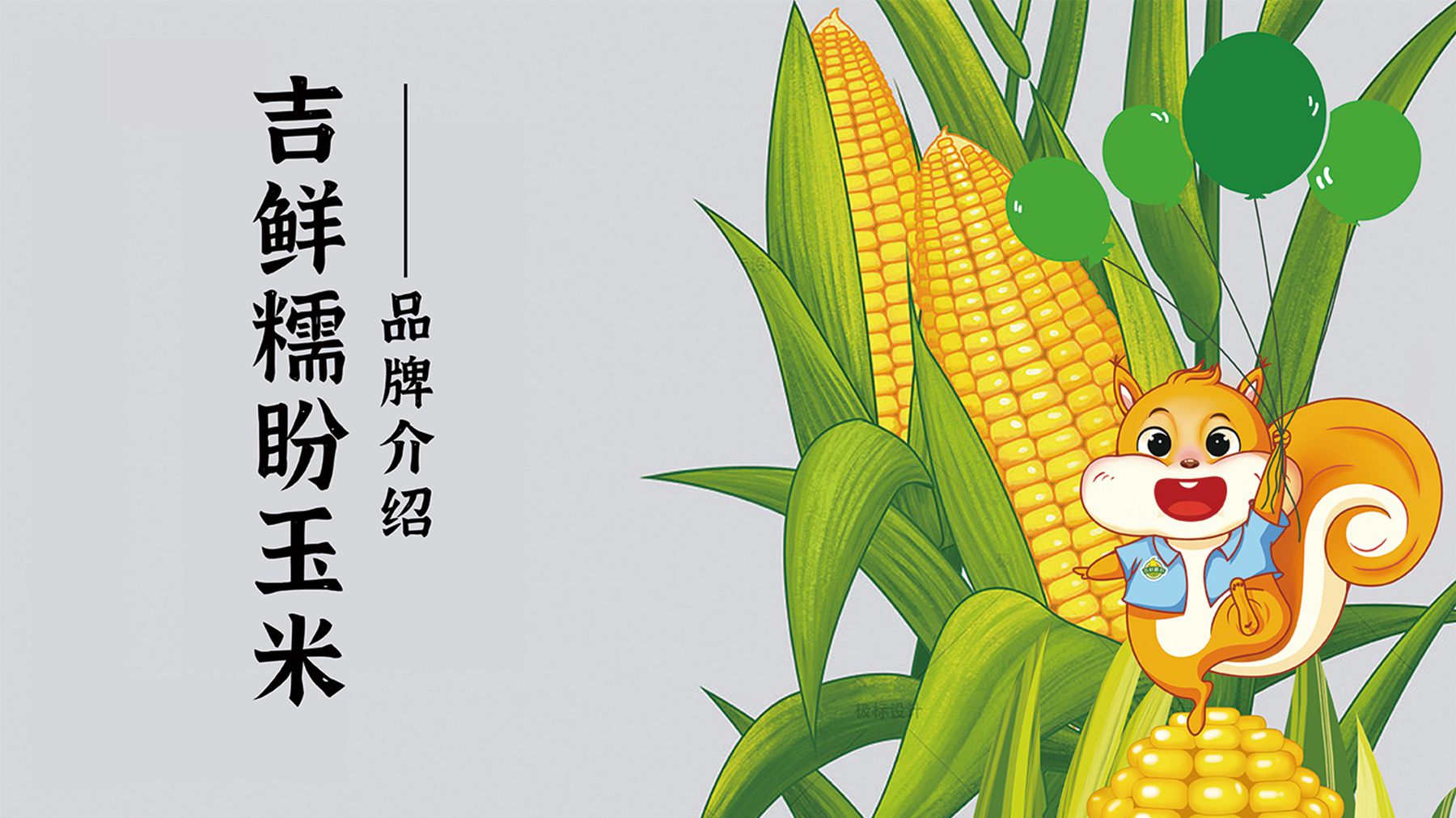 玉米網(wǎng)頁(yè)_01.jpg