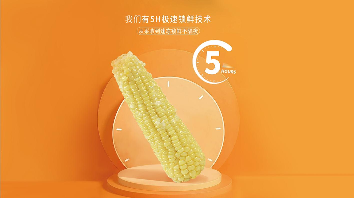 玉米網(wǎng)頁(yè)_06.jpg
